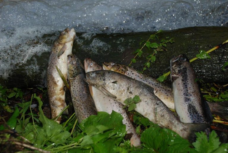 Nedströms kraftverk