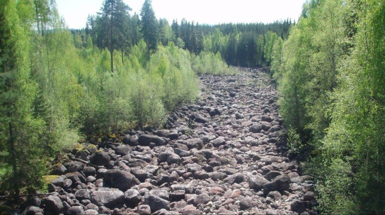Torrfåra 3