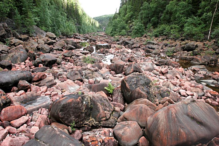 Trängslet 1